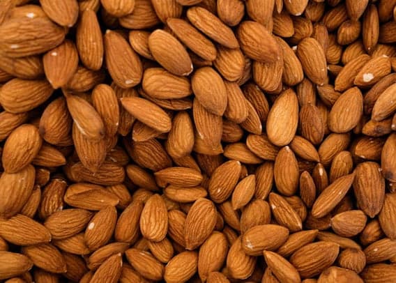 تصویر 3 از قیمت خرید بادام درختی اصل + فروش ویژه
